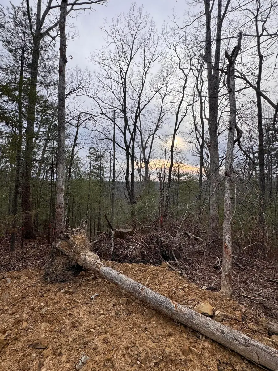 131 High Ridge Road, Campton, KY 41301 - #3