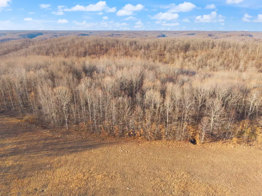 1622 Dummit Ridge Road, Garrison, KY 41141 - #3