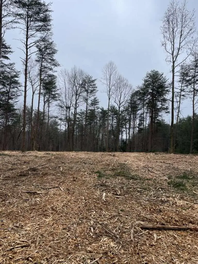 141 Pine Tree Circle, Nancy, KY 42544 - #2