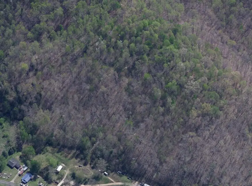 9193 Hwy 191, West Liberty, KY 41472 - #2