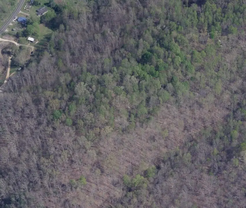 9193 Hwy 191, West Liberty, KY 41472 - #3