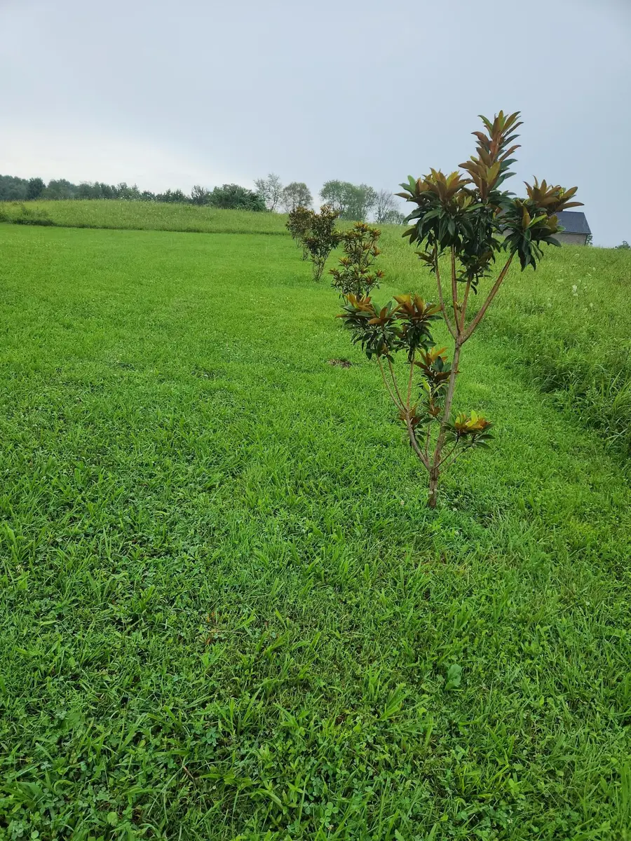 10 River Oaks Circle, London, KY 40744 - #3