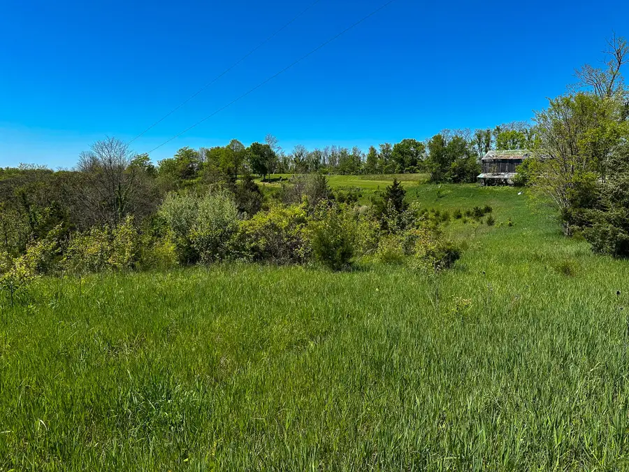 1376 Neave-milford Road, Falmouth, KY 41040 - #2