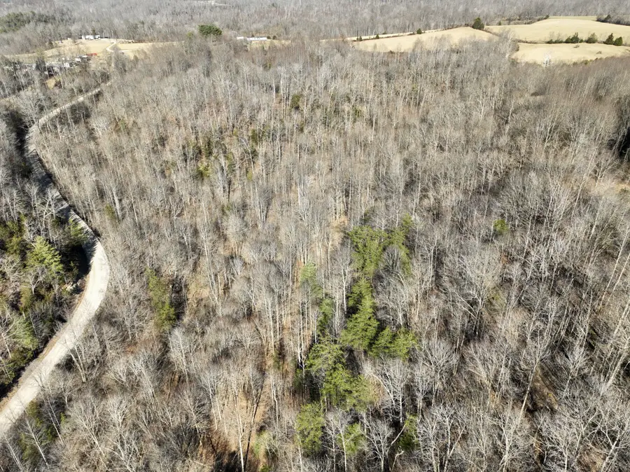 0 Carman Creek Spur Road, Kings Mountain, KY 40442 - #2