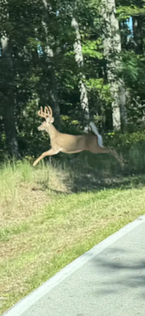 2570 Amos Ridge Road, Frenchburg, KY 40322