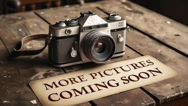 41 Valentine Branch Road, Cannon, KY 40923