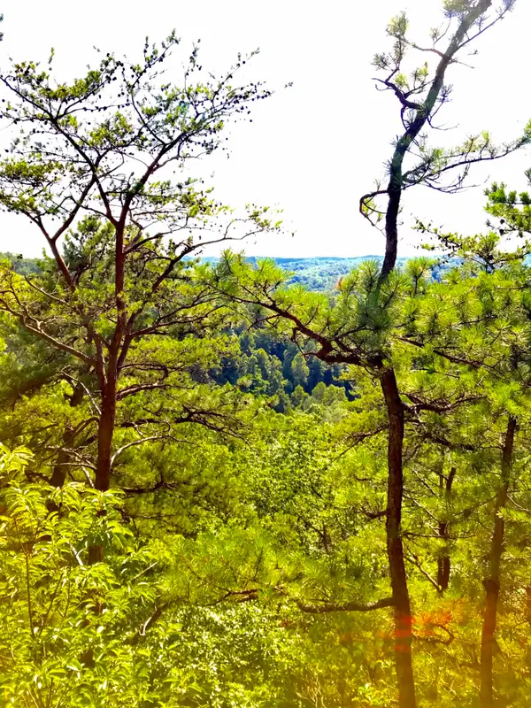 0 S Fork Road, Stanton, KY 40380