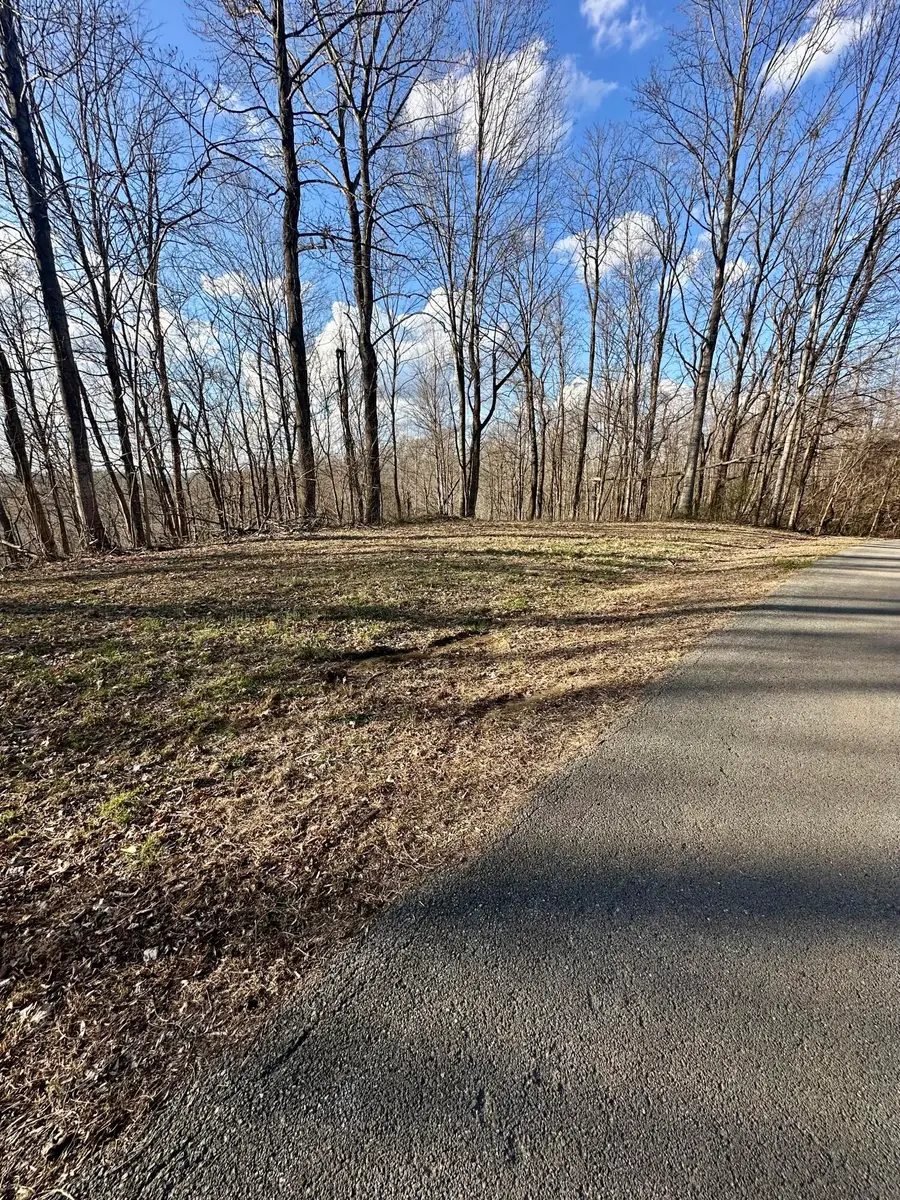 2 Malone Ridge Road #2, Albany, KY 42602 - #3