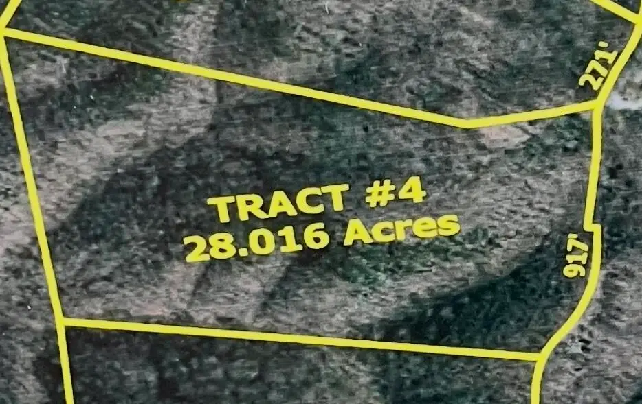 4 Malone Ridge Road #4, Albany, KY 42602 - #1