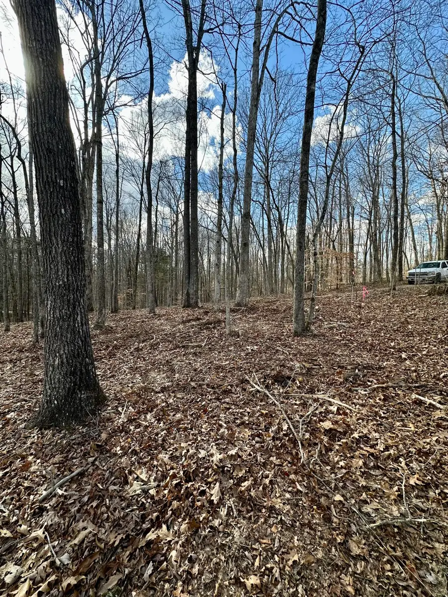 16 Malone Ridge Road #16, Albany, KY 42602 - #3