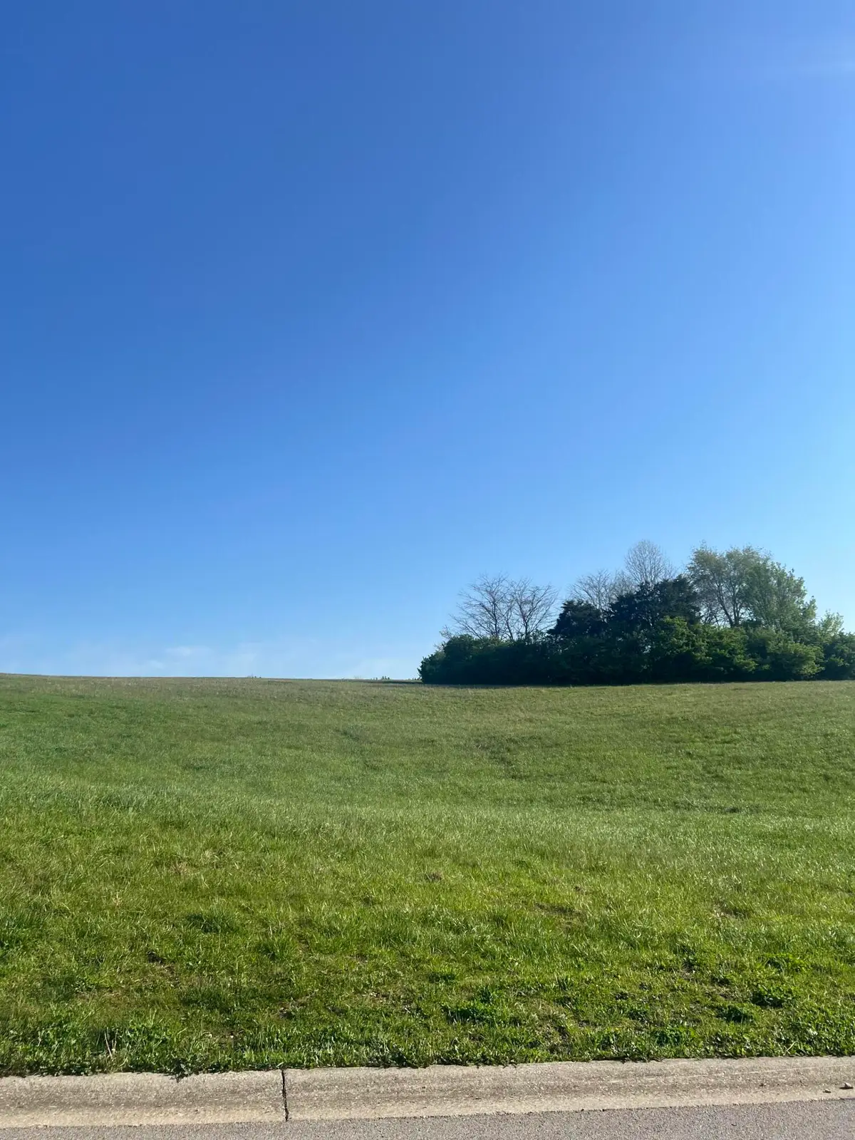 112 Wannamaker Boulevard #196, Richmond, KY 40475 - #1