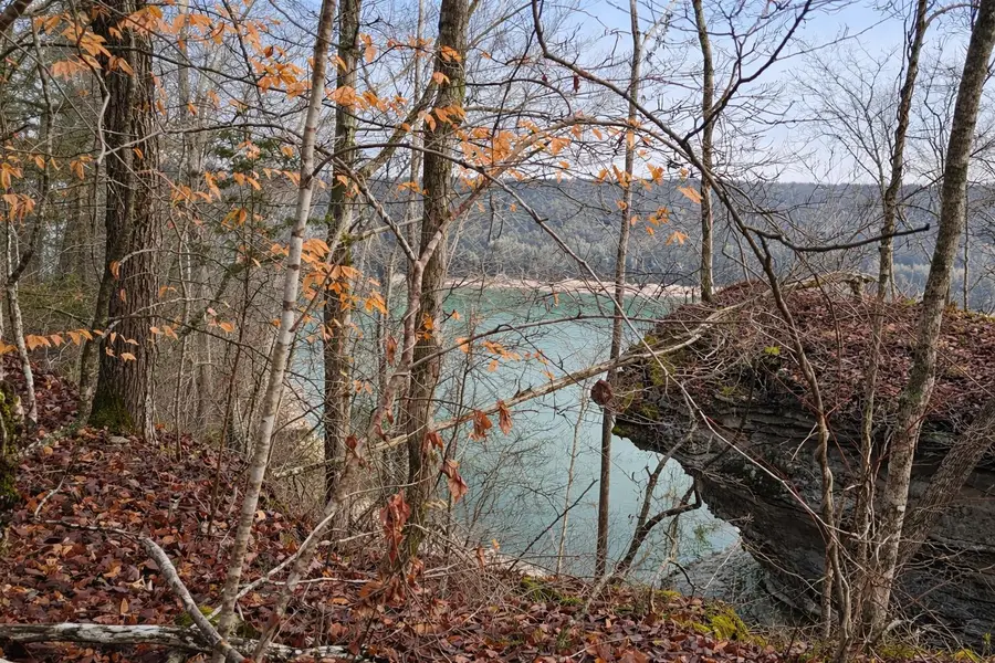 Lot 1 Lower Turkey Creek Road, Monticello, KY 42633 - #2