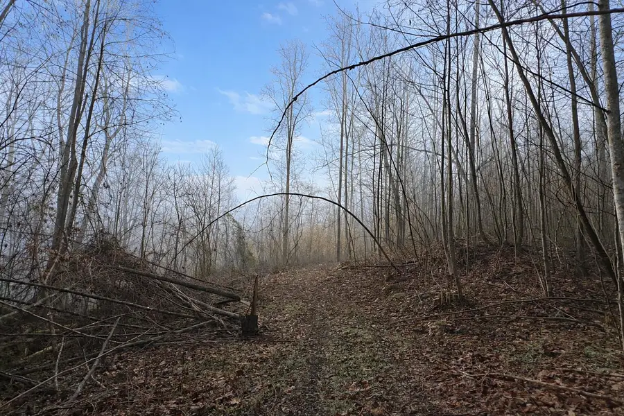 Lot 1 Lower Turkey Creek Road, Monticello, KY 42633 - #3