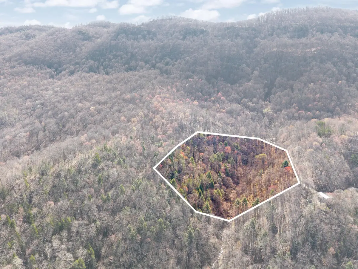 482 Dinah Blair Hollow Road, Whitesburg, KY 41858 - #1