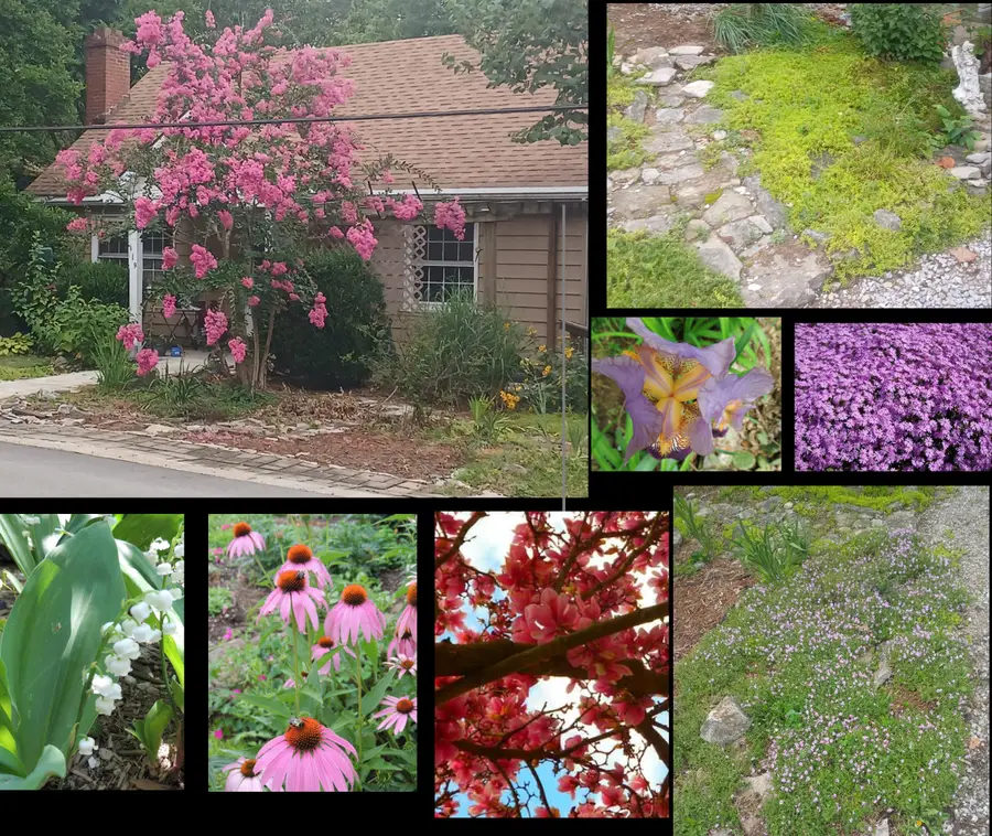 119 Elkhorn Drive, Frankfort, KY 40601 - #2