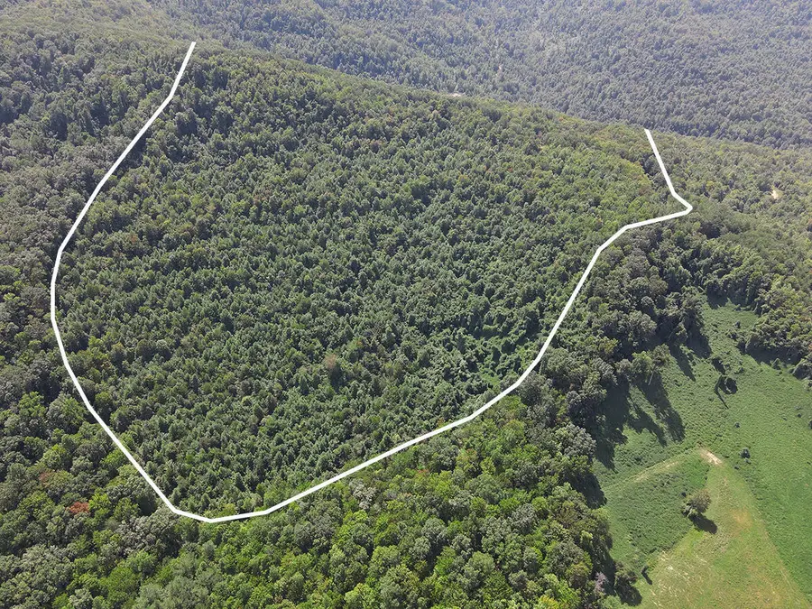 0 Corder Flat Road, Strunk, KY 42649 - #3