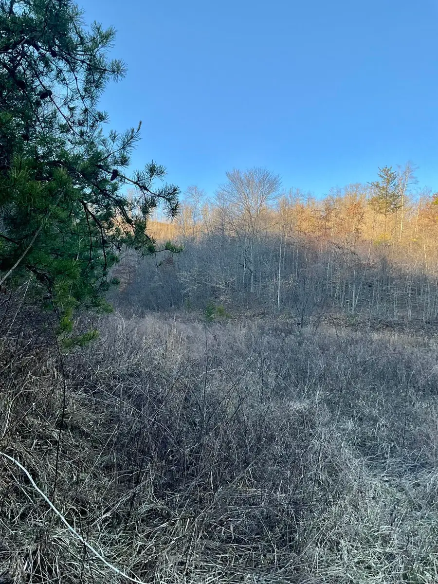 0 Bull Hollow Road, Manchester, KY 40962 - #3