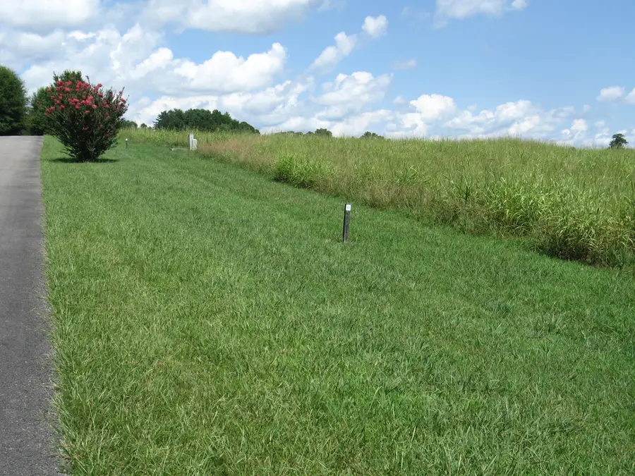 40 41 Beacon Street, Russell Springs, KY 42642 - #2