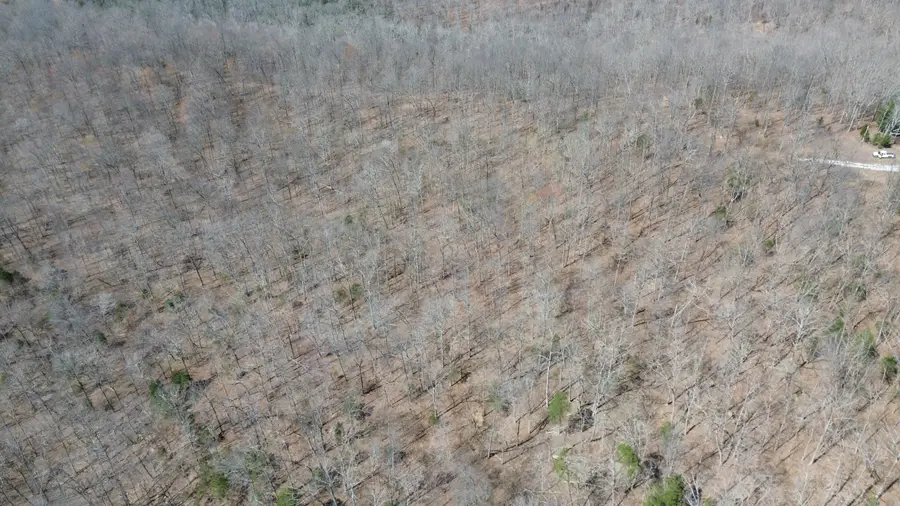 92A  Riverside Benleo Road, Bowling Green, KY 42101 - #2