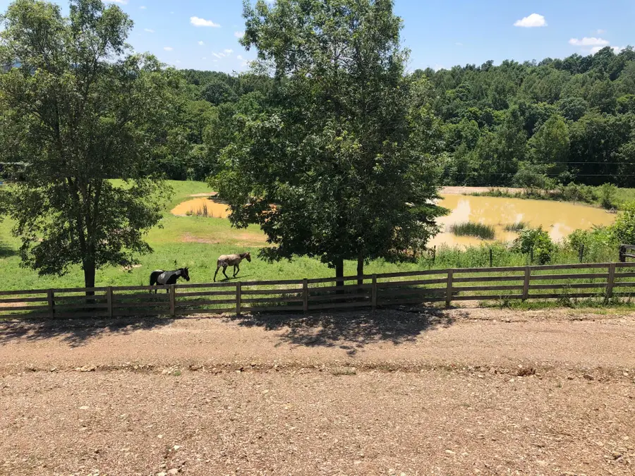 422 Kirk Lane, Tollesboro, KY 41189 - #3