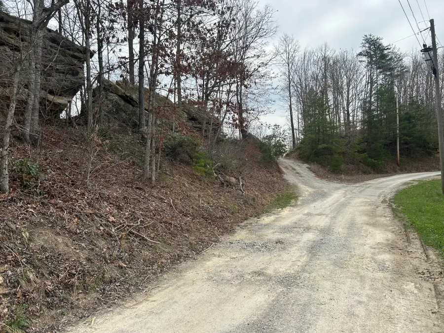 151 Walter Crabtree Road, Pine Knot, KY 42635 - #3