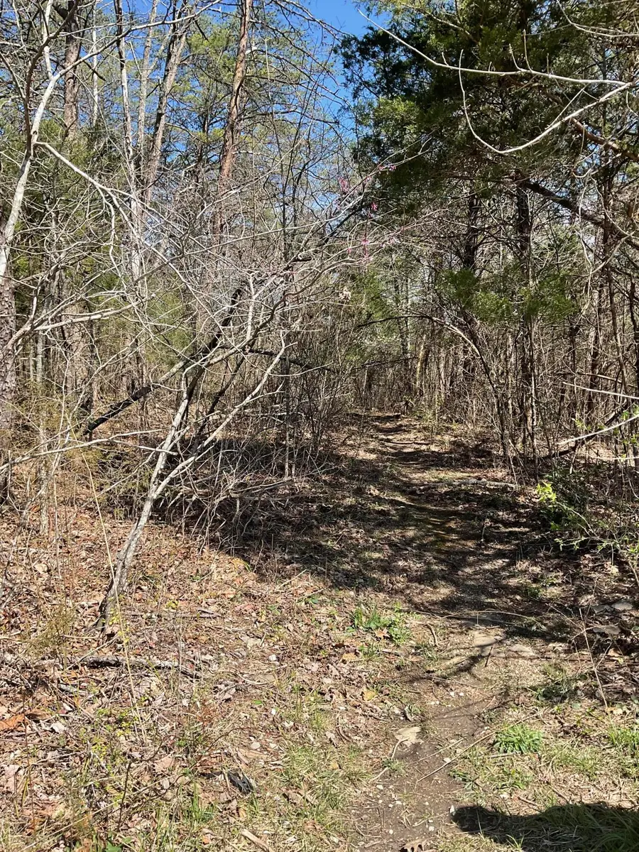 04 Caney Branch Spur Road #04, Burnside, KY 41519 - #3