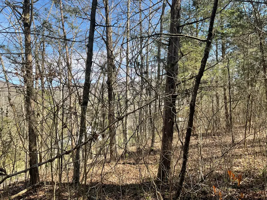 53 Caney Branch Spur Road, Burnside, KY 42519 - #3