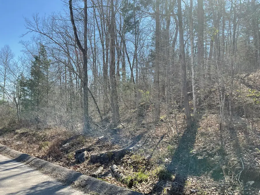 47 Caney Branch Road, Burnside, KY 42519 - #2