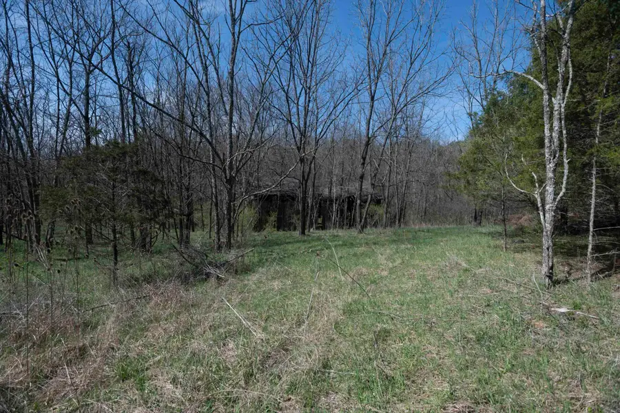 0 Davis Turkey Foot Road, Sadieville, KY 40370 - #3