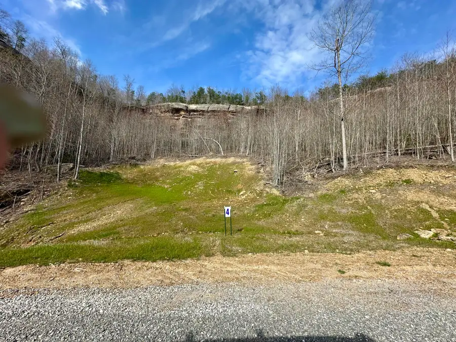 Lot 4 Sleepy Hollow Road #Lot 4, East Bernstadt, KY 40729 - #3