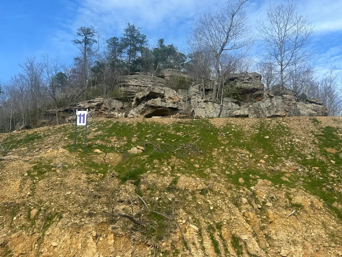Lot 11 Sleepy Hollow Road #Lot 11, East Bernstadt, KY 40729 - #1