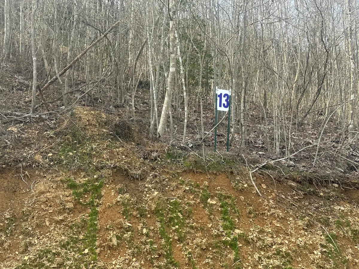 Lot 13 Sleepy Hollow Road #Lot 13, East Bernstadt, KY 40729 - #1