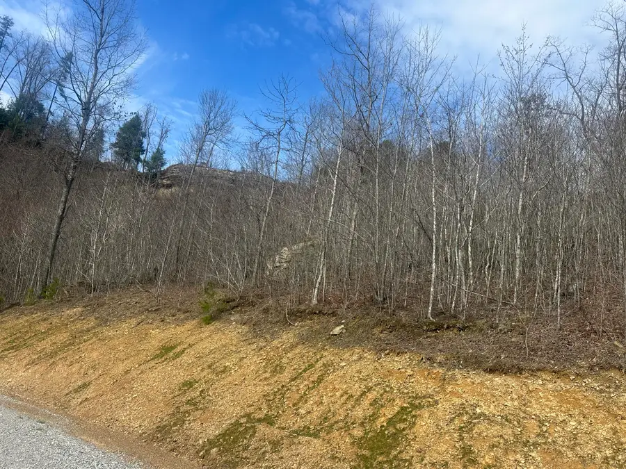 Lot 13 Sleepy Hollow Road #Lot 13, East Bernstadt, KY 40729 - #3