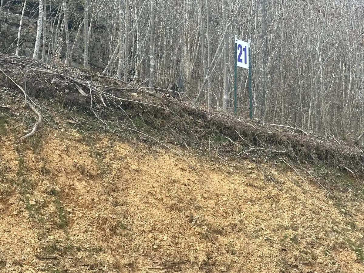 Lot 21 Sleepy Hollow Road #Lot 21, East Bernstadt, KY 40729 - #1