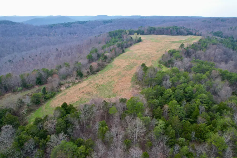 1130 Kentucky 790, Monticello, KY 42633 - #3