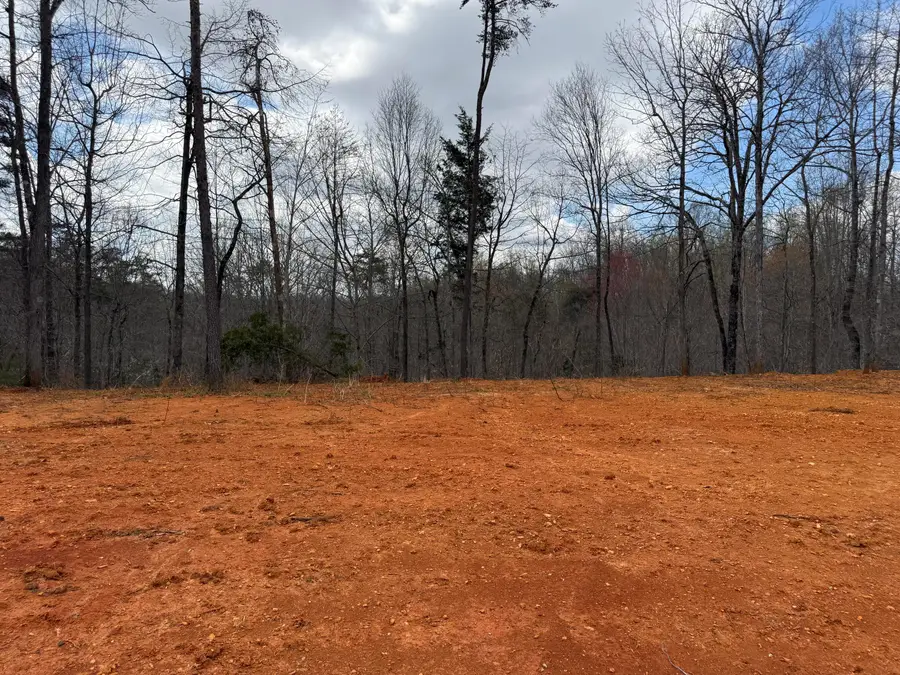 Lot 2 Phase 2 Stearns Hollow Road, Monticello, KY 42633 - #2