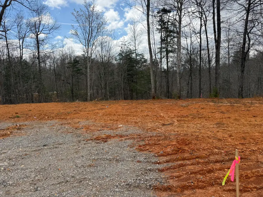 Lot 3 Phase 2 Stearns Hollow Road, Monticello, KY 42633 - #3