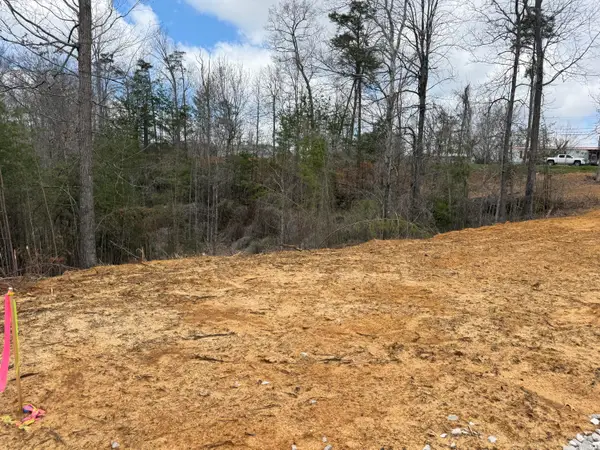 Lot 7 Phase 2 Stearns Hollow Road, Monticello, KY 42633