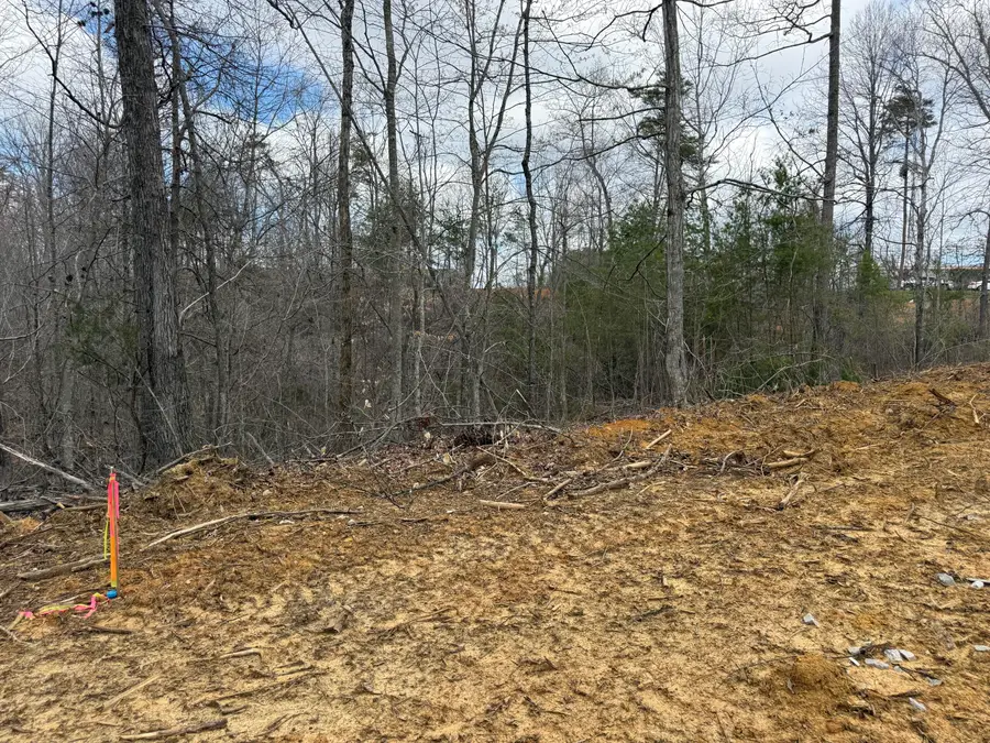 Lot 7 Phase 2 Stearns Hollow Road, Monticello, KY 42633 - #2