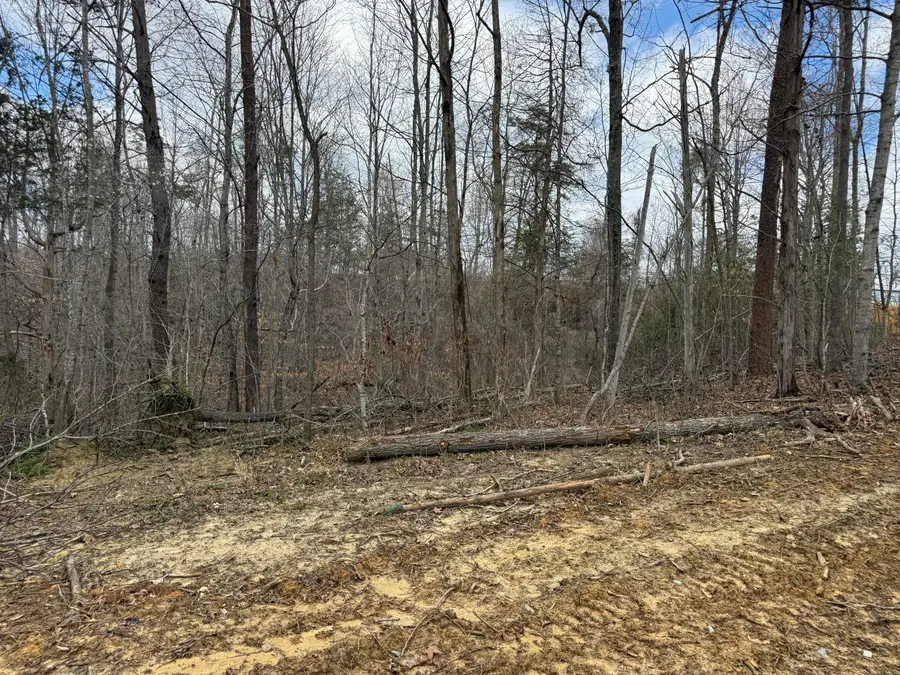 Lot 7 Phase 2 Stearns Hollow Road, Monticello, KY 42633 - #3