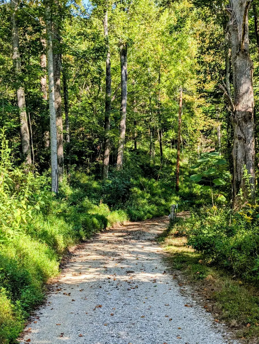 1057 Hwy 90, Corbin, KY 40701 - #2