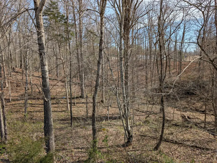 Lot 7 Woods Trail Drive #7, Irvine, KY 40336 - #3