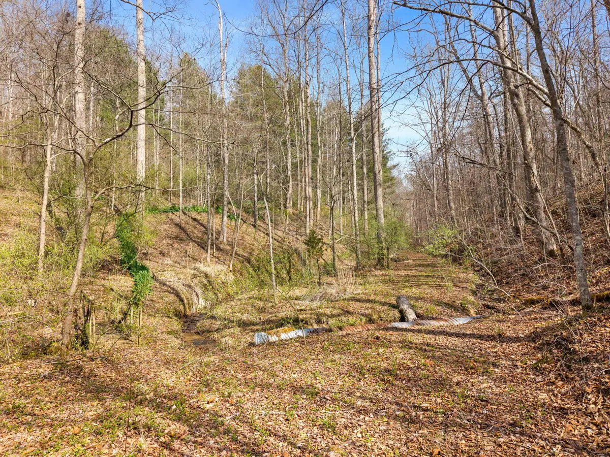 1230 Possom Trot Road Road, Manchester, KY 40962 - #1