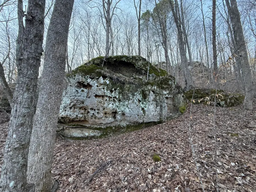 9991 Red Hill Road, Livingston, KY 40445 - #3