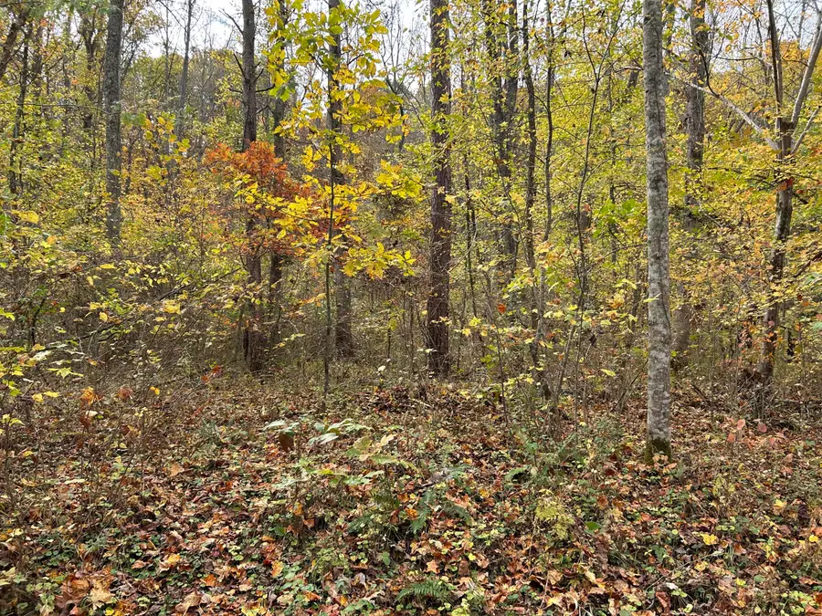 70 Millstone Road, Clay City, KY 40312 - #3