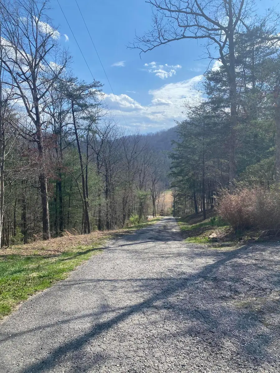 11598 Red Lick Road, Irvine, KY 40336 - #3