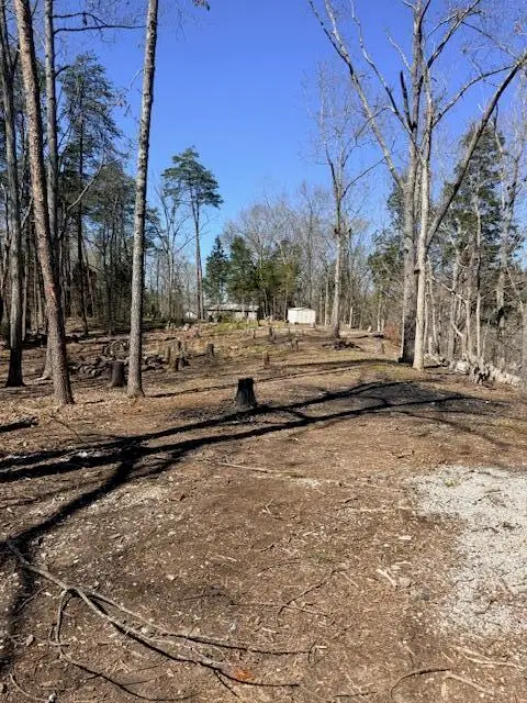 434 E Lakeshore Drive, Burnside, KY 42519 - #3