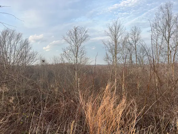 637 Walk Log Branch Road, Beattyville, KY 41311