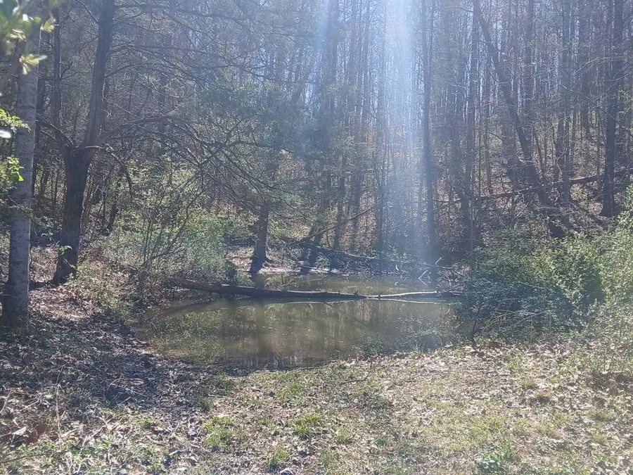 637 Walk Log Branch Road, Beattyville, KY 41311 - #2