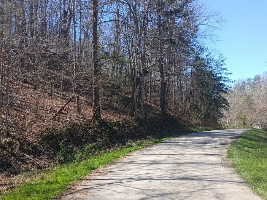 637 Walk Log Branch Road, Beattyville, KY 41311 - #3